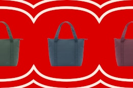 walmart ozark trail cooler tote collage