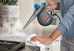 Bissell Handheld Steam Cleaner