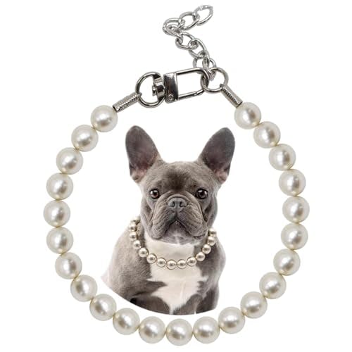 MISS PET Pearl Dog Collar