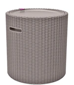 Keter Cool Side Table Cooler