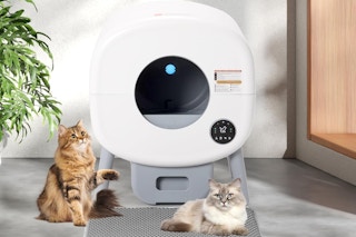 Two cats sit next to a large cylindrical litter box with four legs and a receptacle at the bottom.
