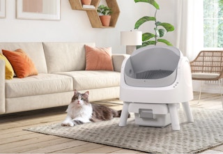 walmart automatic cat litter box