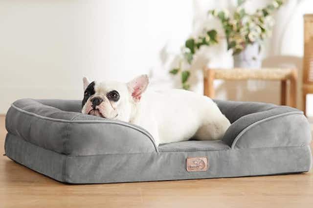 Orthopedic Dog Bed, Just $34 on Amazon (Reg. $60) card image