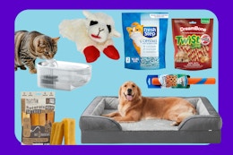 I Found The Best Amazon Deals for Dog and Cat Owners — Check Them Out card image