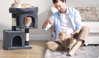 amaozn cat tree 1684517360 1684517360 e1684517430268