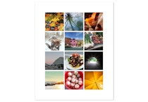 CVS Repositionable Poster, 16x20