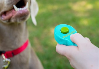 amazon petsafe clicker 2023 1 1683054979 1683054979