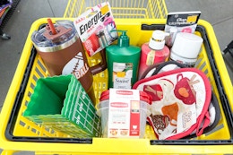 dollar general clearance deals in shopping cart nov 2025