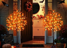 two LED faux maple trees on a front porch