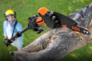 man using chainsaw on tree branch