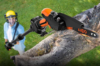 man using chainsaw on tree branch