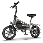 Adult Electric Bike