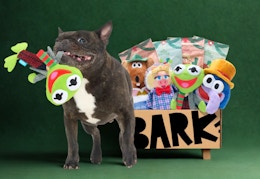 a christmas muppet barkbox