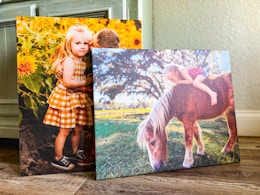 Get Unlimited 16" x 20" Canvas Prints for $16 Each — Shipping Included card image
