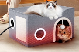 Indoor Heated Cat House, Only $14.99 on Amazon (Reg. $59.99) card image
