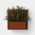 Threshold Artificial Privet Wall Box