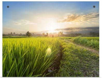 CVS Photo Bamboo Panel