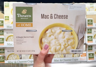 costco panera single serve cups 1625004681 1625004681