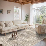 Washable Area Rug