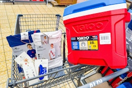 Don’t Miss Aldi’s Memorial Day Finds: $5 Shirts, $25 Igloo Coolers, and More card image