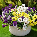 Artificial Flowers