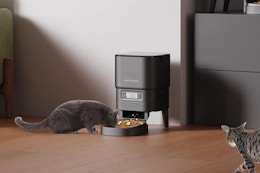 Automatic Pet Food Dispenser, Only $23.84 on Amazon (Reg. $39.99) card image