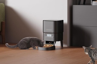cats eating out of pet food dispenser