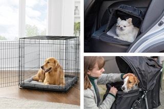 collage image of a dog in a crate, dog in a stroller, and dog in a travel carrier