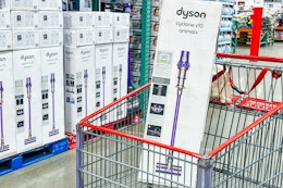 costco-dyson-cyclone-animal-vacuum