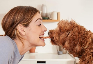 amazon full moon treats 2023 1 1683377369 1683377369