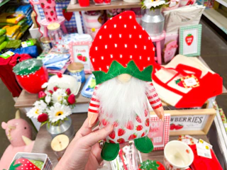 dollar general strawberry gnome