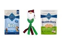 1 Kong Toy + 2 Blue Buffalo Treats