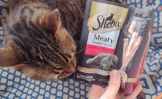 amazon sheba cat treats3 1646323771 1646323771