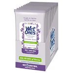 Wet Ones Hand Wipes 10-Pack