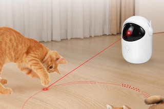 cat laser Amazon