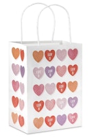 Hallmark Valentine's Day Gift Bag