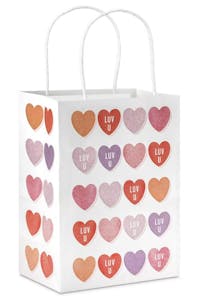Hallmark Valentine's Day Gift Bag