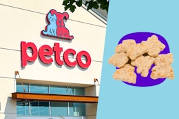 Petco Freebie: Get a Free Dog Treat on Aug. 1 (With a Code Word) card image