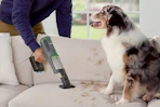 Shark PowerBoost Cordless 2-in-1 Handheld PowerVac