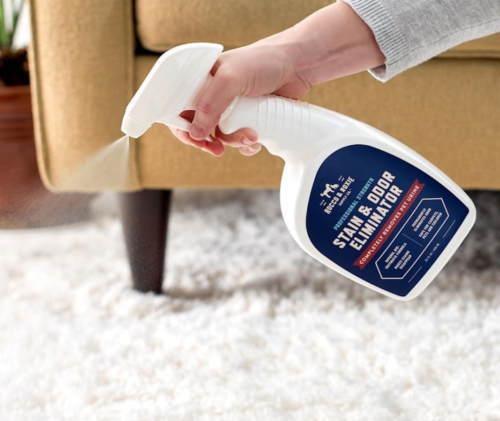 Amazon Rocco & Roxie Stain & Odor Eliminator 2025