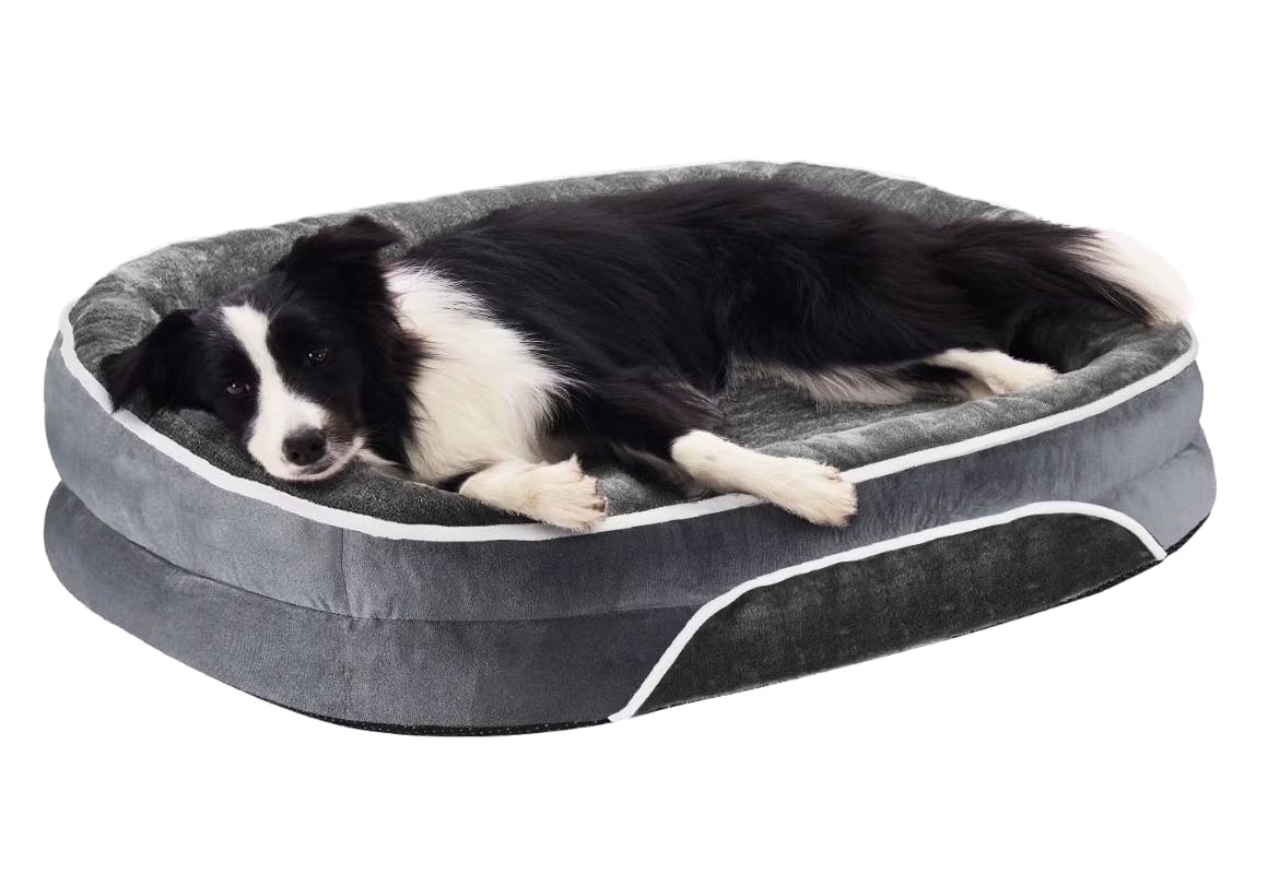 Orthopedic Dog Bed
