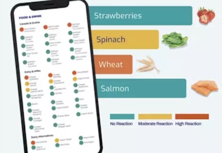 groupon food intolerance tests