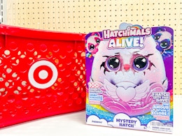 Target Hatchimals alive mystery hatch