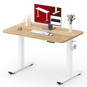 Electric Standing Desk