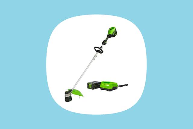Best Buy Deal of the Day: $175 Greenworks Grass Trimmer (Reg. $250) card image