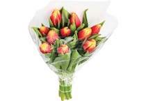Valentine's Day Tulip Bouquet