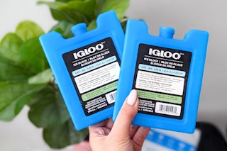 persons hand holding two igloo ice block packs from amazon