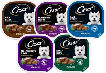 5 Cesar Wet Dog Food Trays