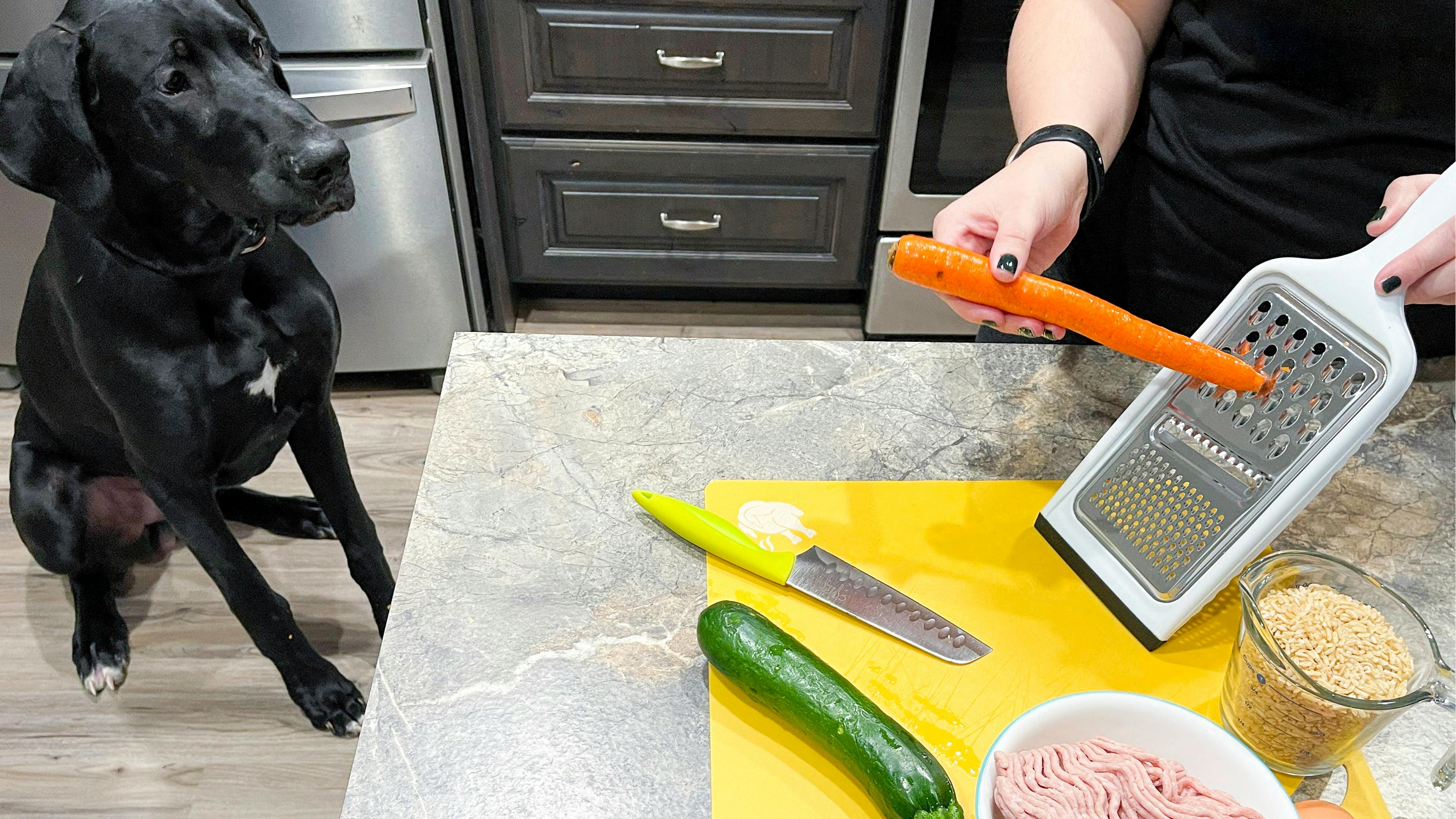10 Homemade Dog Food Recipes Your Dog Will Drool Over