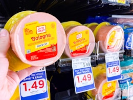 hand holding a pack of oscar mayer bologna